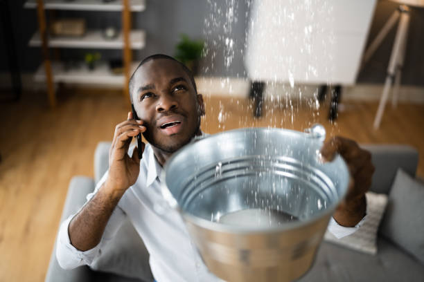 Best Water damage restoration near me  in Long Grove, IL