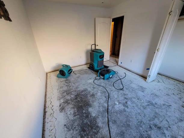 Best Residential water damage restoration  in Long Grove, IL