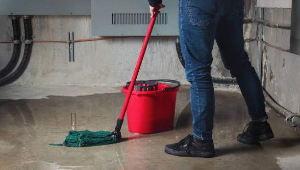 Best Basement water damage restoration  in Long Grove, IL