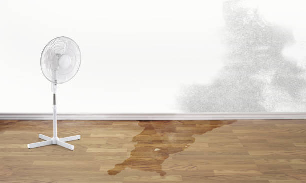 Best Residential water damage restoration  in Long Grove, IL