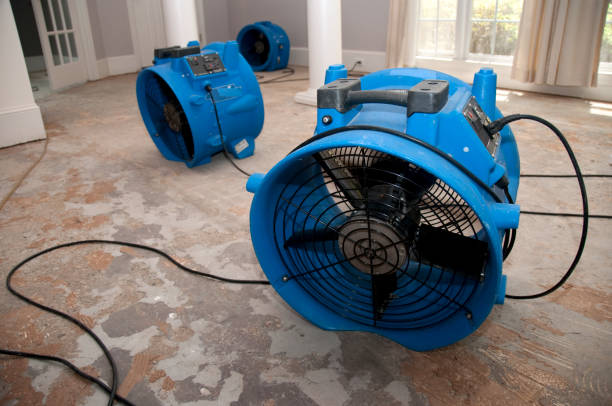 Trusted Long Grove, IL Water damage restoration Experts