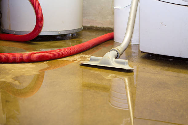 Long Grove, IL Water damage restoration Company