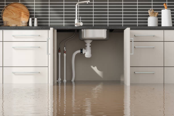 Sewage cleanup and water damage restoration in Long Grove, IL