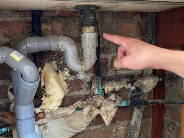 Best Water damage restoration cost  in Long Grove, IL