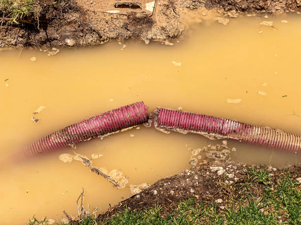 Best 24-hour water damage restoration  in Long Grove, IL