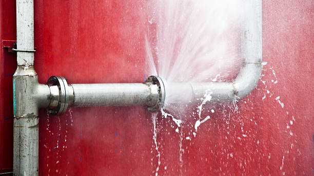 Best Professional water damage repair  in Long Grove, IL